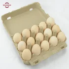 Paper Machine Tray New Condition And Paper Folding Machine Processing Type Small Paper Egg Tray Line