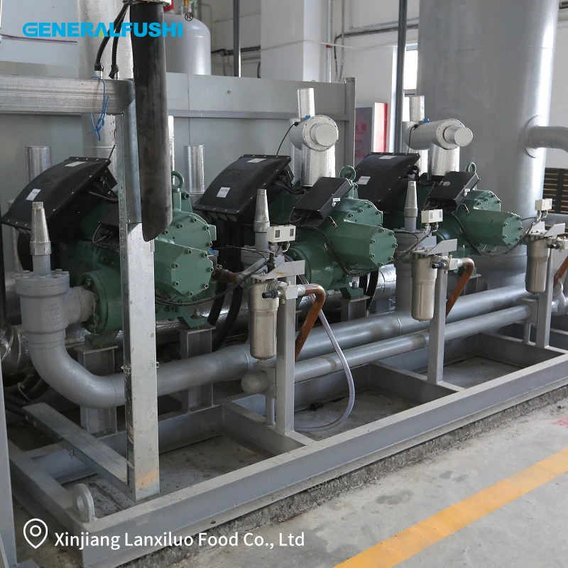 Screw Compressor, GENERALFUSHI, R404A, Compressor rack - detail 18