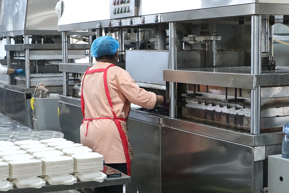 Automatic Biodegradable Disposable Paper Dish Tableware Making Machine with Sugarcane Bagasse Pulp manufacture