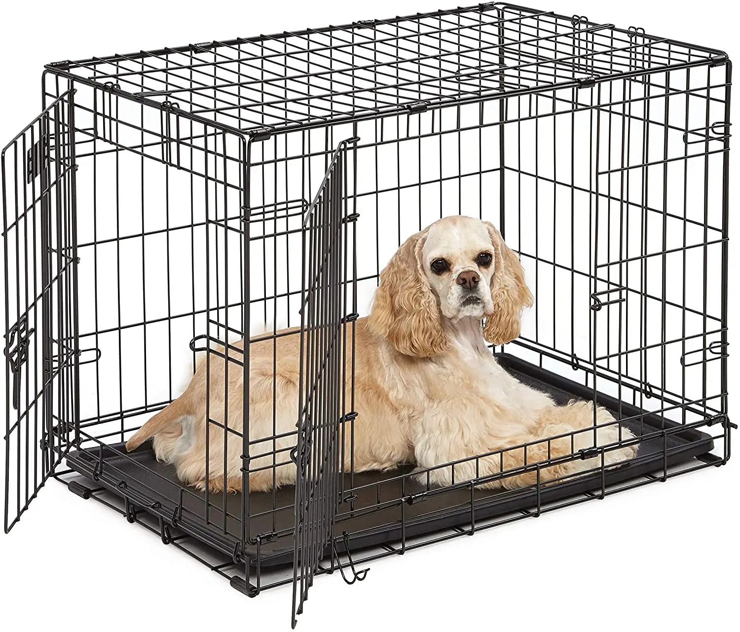 Medium Dog Crate Dimensions stickhealthcare.co.uk