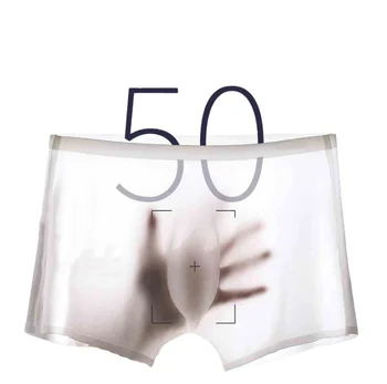 Summer Ice Silk Seamless 3D Ultra-thin Breathable Korean Gay Mens Sexy Transparent Underwear