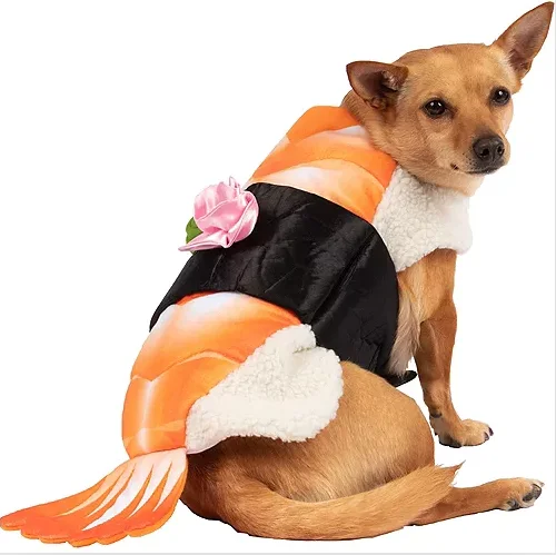 dog fish costume