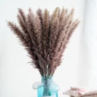 Flower Natural Dried Pampas Grass Long Lasting Preserved Flower Dried Reed Grass