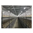 Poultry Chicken Cage Poultry Cage Chicken Layer Poultry Cages For Layer Chickens