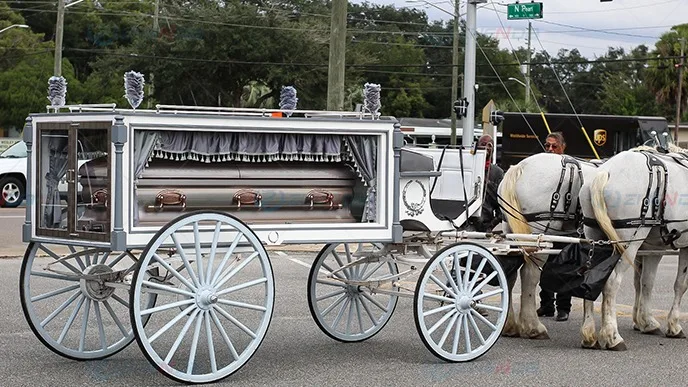 royal funeral carriage buggy england english funeral horse