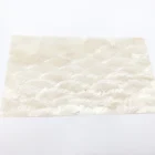Abalone XUNBEI Wholesale Natural Mother Of Pearl Shell Paper Abalone Shell Price