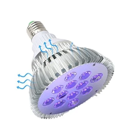 blacklight spotlight bulb