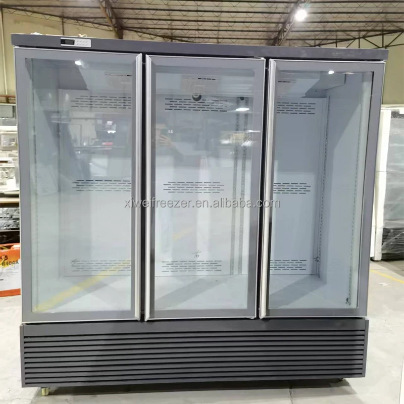 Defrost Three-door Meat Freezer, 110V-130V, 201 - detail 18