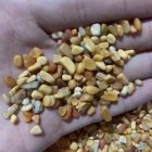 Jade Natural Flow Ore Myanmar Jade Native Mineral Tumbled Rolling Stone Crystal Gravel