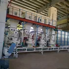 Pellet China Supplier Vertical Ring Die 6mm Russia Pellet Granulator