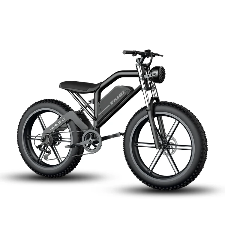 eu electric bike