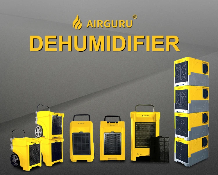 Portable Dehumidifier, LGR, 90L/Day - detail 2