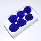 Wholesale High Repurchase Rate A Grade Long Lasting 5-6cm Preserved Rose Head For Birthday Gift DIY Wedding Home Decor