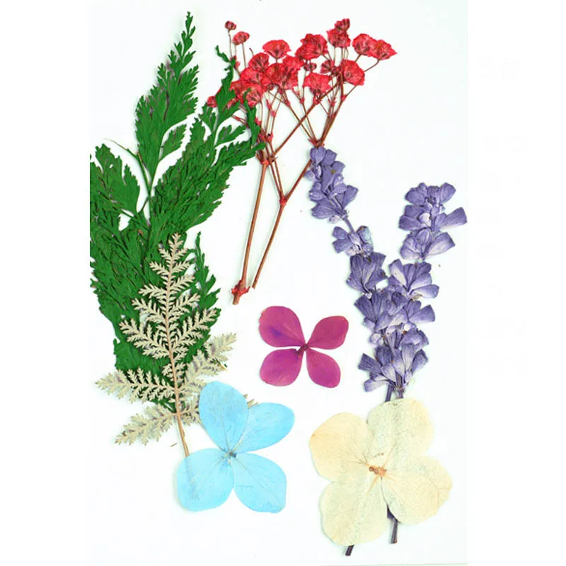 Handmade DIY Dried Flower Leaf Bookmarks Set