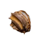 Ablone Abalone Competitive Price Fresh Frozen Ablone Seafood Abalone Frozen Green Abalone