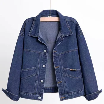 Women's short denim jacket Spring and autumn new all-in-one embroidery fashion top jacket