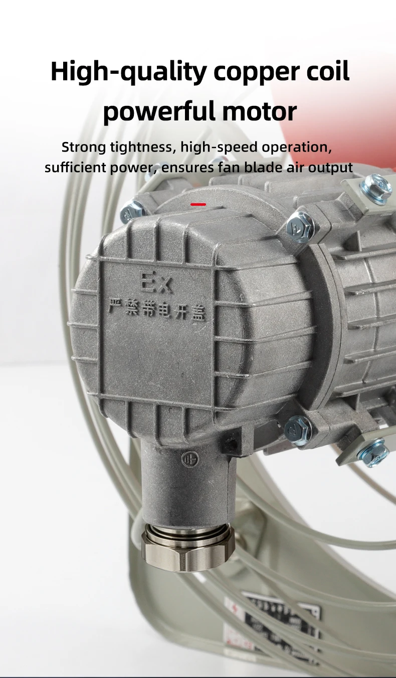 Axial Flow Fan, BFAG, Explosion-Proof, IP65 - detail 10