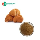Hot Sales Lion's Mane Mushroom Extract