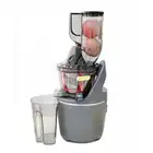HONGHAO Household Vertical Cold Press Masticating Juicer BPA Free With CE CB GS ROHS LFGB ETL Approved