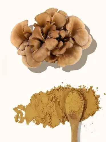 Maitake Mushroom Extract Powder