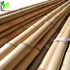 Raw Bamboo Bamboo Bamboo Pole Raw Large Dry Raw Moso Bamboo Poles For Sale