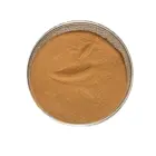 Natural Natural Cardiospermum Halicacabum Extract Powder 10:1 20:1