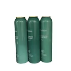Wholesale custom aluminum aerosol spray bottle cosmetics