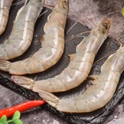 Egg Pd White Frozen Raw Peeled Shrimp Egg To Heching Vannamei