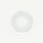 Gray New 1 Tone Wholesale Price 14.2 Mm Light Gray Contact Lens Yearly Middle Eastern Eyes Natural