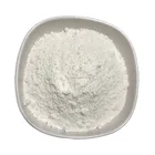 Starch Factory Price Corn Starch CAS 9057-7-2 Pre-gelatinized Starch Powder