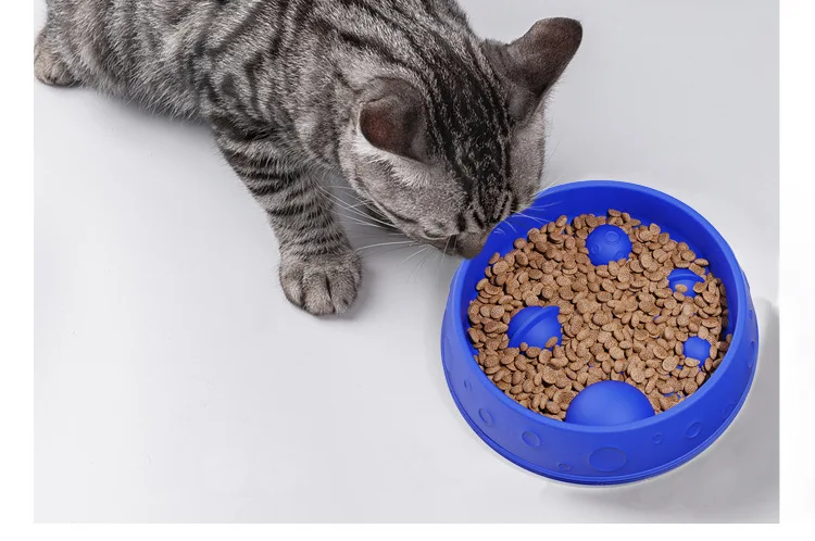 Starry Sky Pattern Anti-Choking Slow Food Bowl Silicone Anti-Slip Dog Bowl Pet Supplies & Feeders supplier