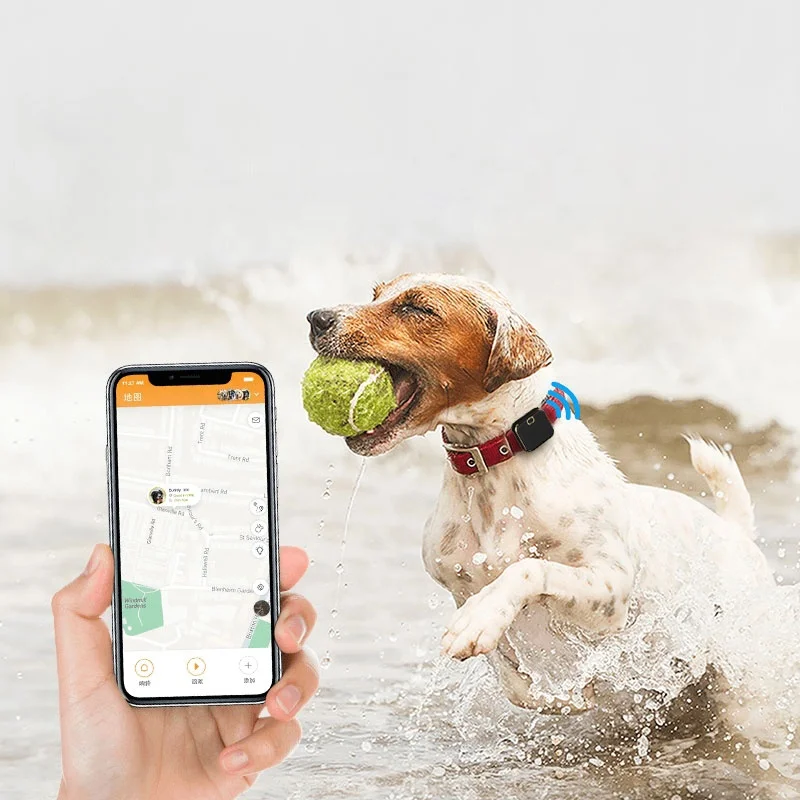 gps dog ball