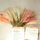 New Arrivals Amazon Natural Decorative Flowers Dried Flower Artificial Flowers Large Pampas Pampa Grass