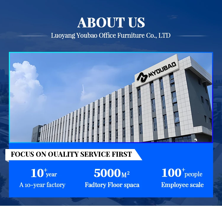 Luoyang Bedroom Furniture Steel Wardrobe Closet Cupboards for Bedroom Wardrobe Armoire Dressing manufacture