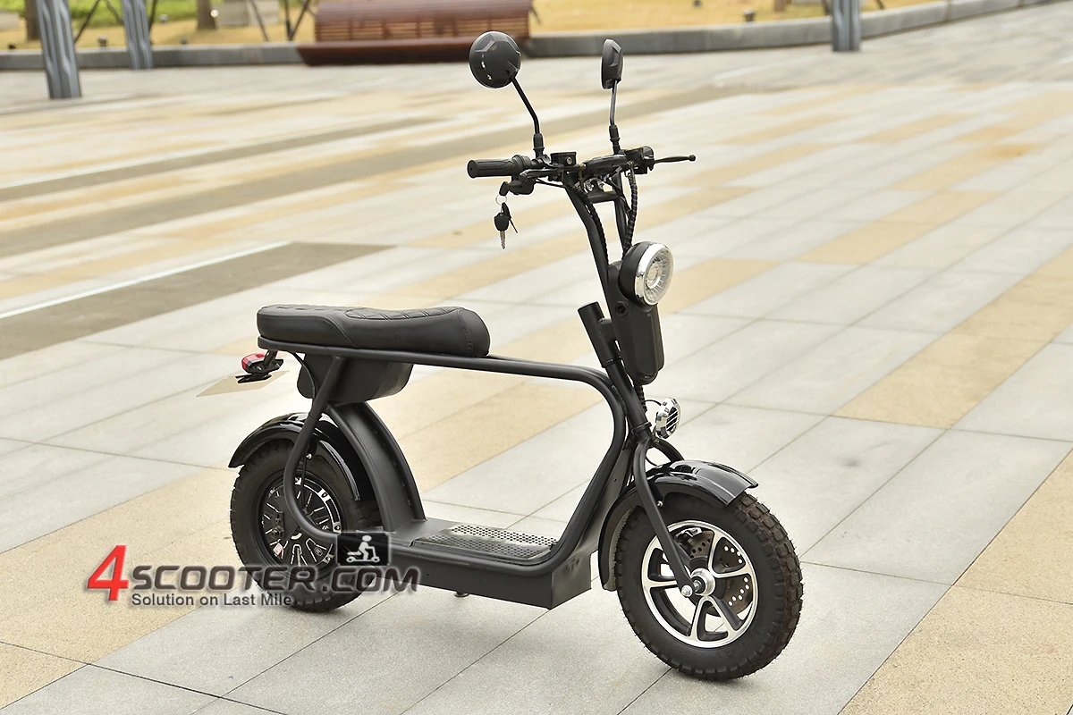 electric scooter 1000w