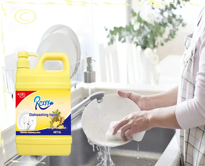 5L Cleaning Chemicals Kitchen Cleaner Ginger Detergent Dishwashing Liquid