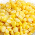 International Corn Corn International Certificate China Canned Super Sweet Vegetable Corn 340g