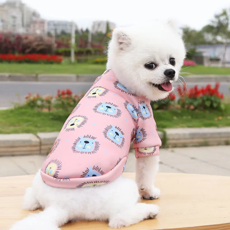 pet clothes wholesale