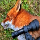 First Light Hunting Nitesun HT12 900m Zoomable White 1095 Lumen Led Hog Hunting Light