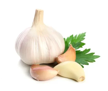 garlic fresh garlic from China