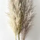 Flower For Factory Wholesale Dried Flower Natural Large Pampas Grass Dried For Christmas Flower