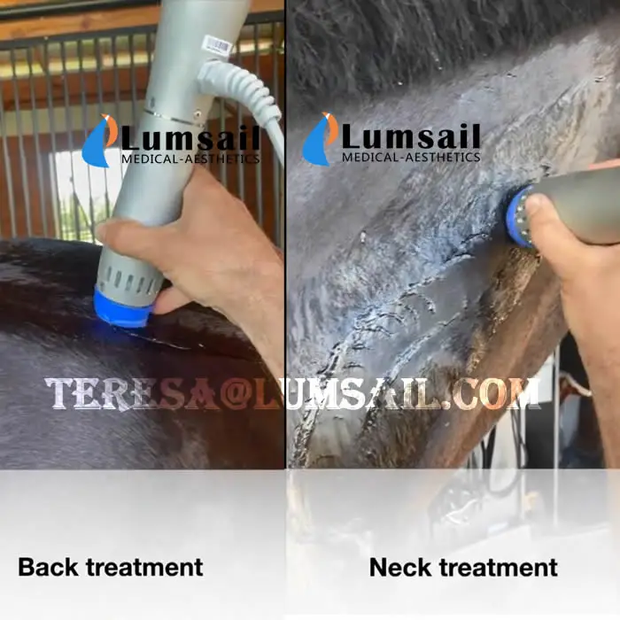 horse treatment device.jpg