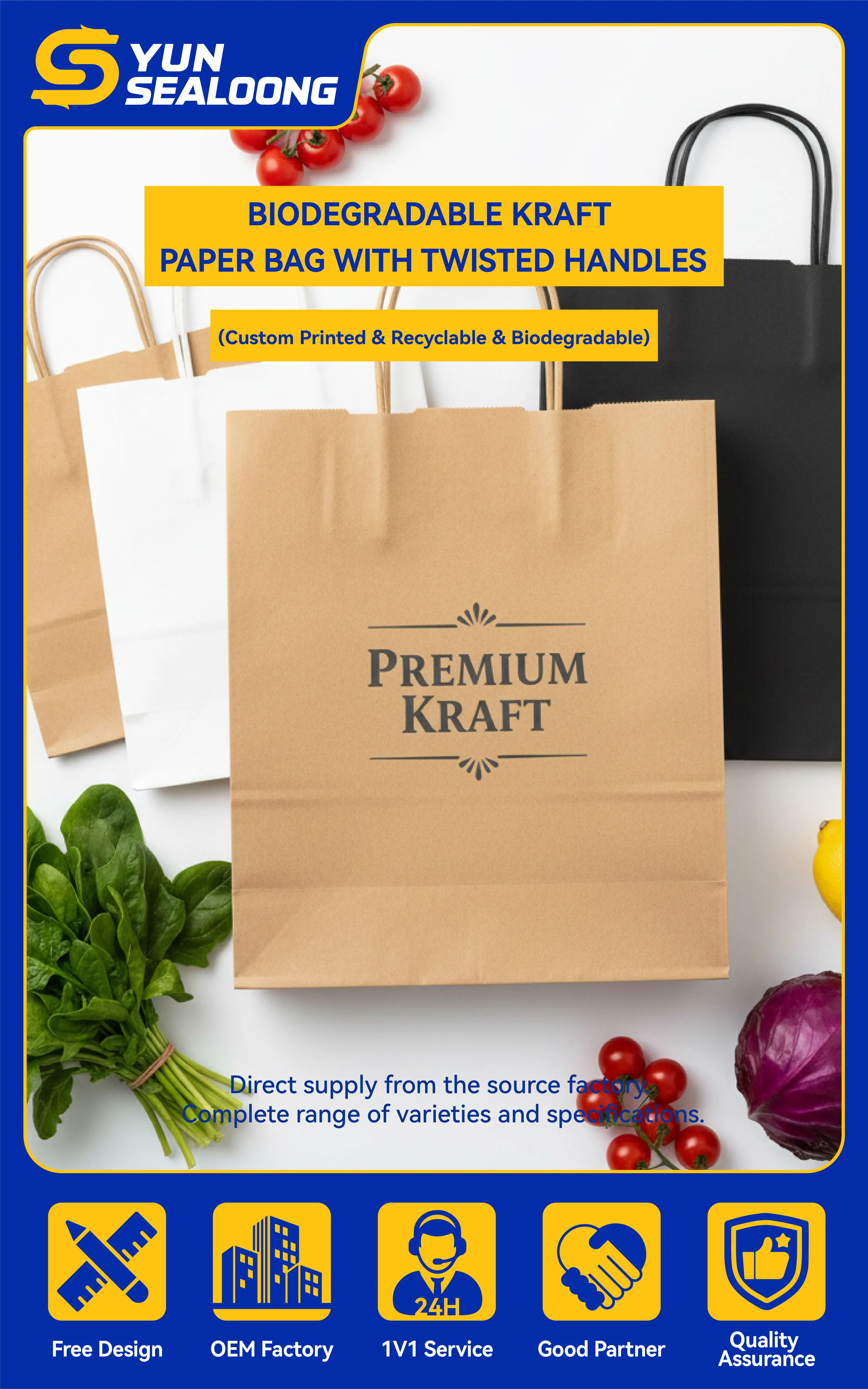 Custom Printed Biodegradable Kraft Paper Bag with Twisted Handles for Retail Shopping