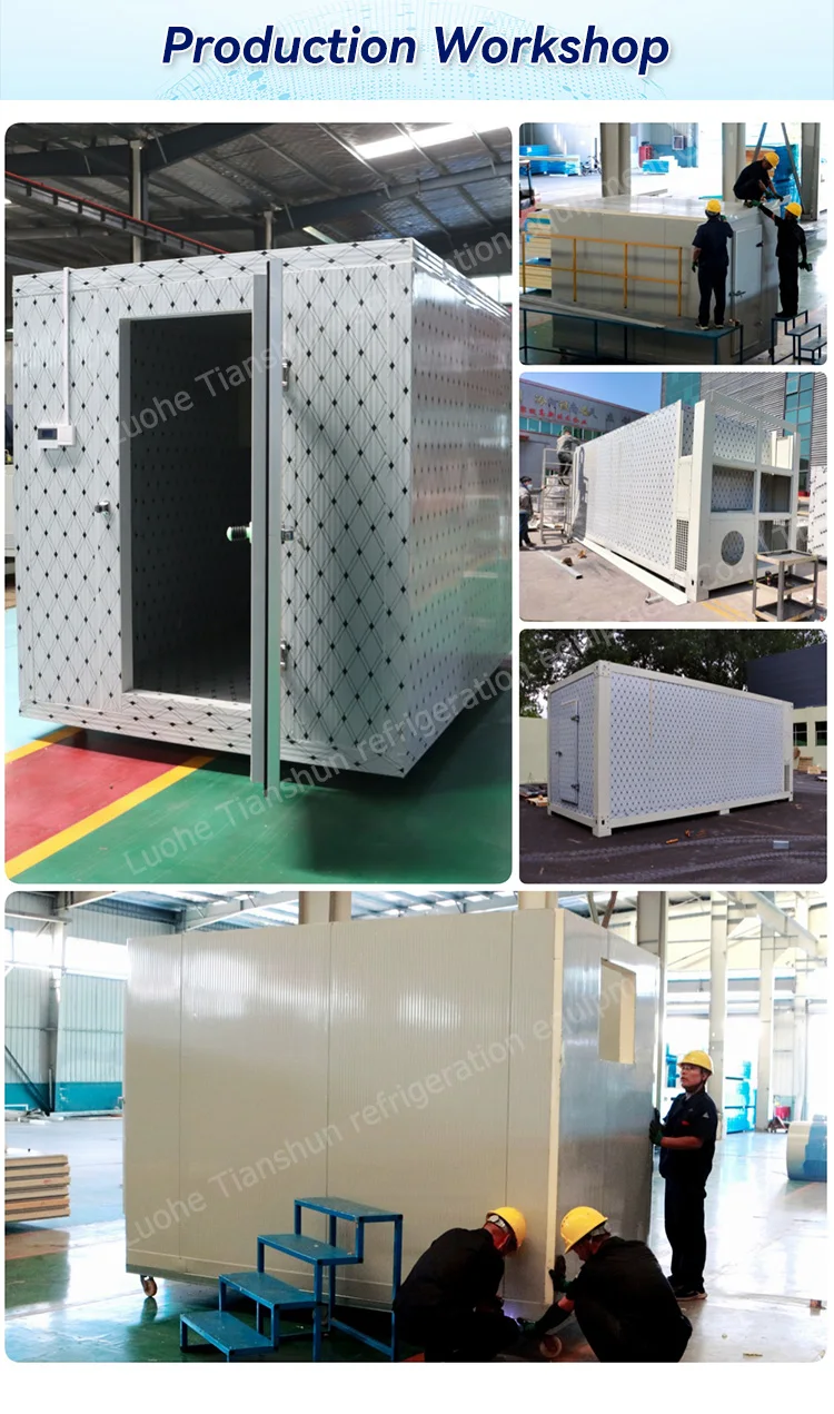 Modular Cold Room Freezer, 110V~480V - detail 12