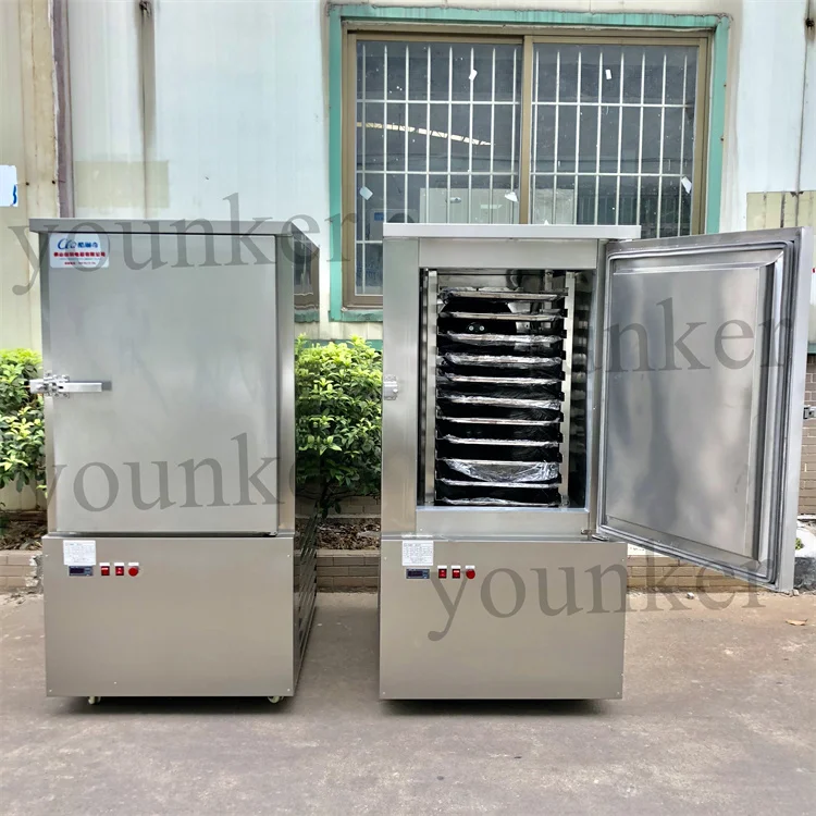 Fast Shock Blast Chiller, Stainless, Steel - detail 14