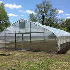 Greenhouse Plastic Film Skyplant Low Cost Arch Plastic Film Greenhouse Tomato Greenhouse