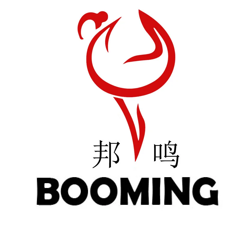 Dongguan Booming Electric Industrial Co., Ltd.