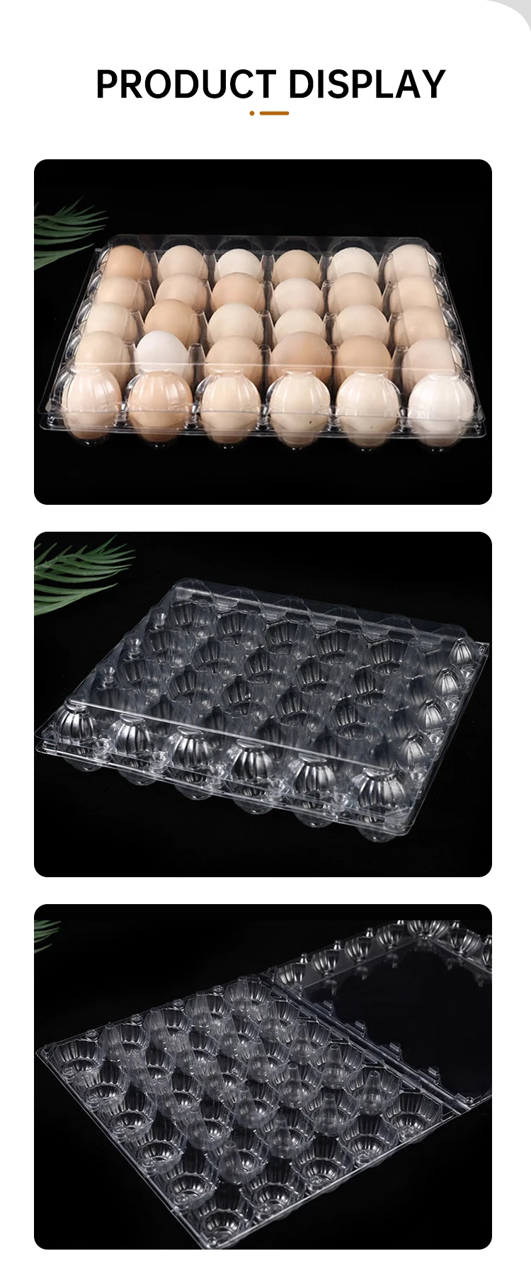 Disposable Transparent Pet Plastic Blister Trays 4 6 8 10 12 15 16 20