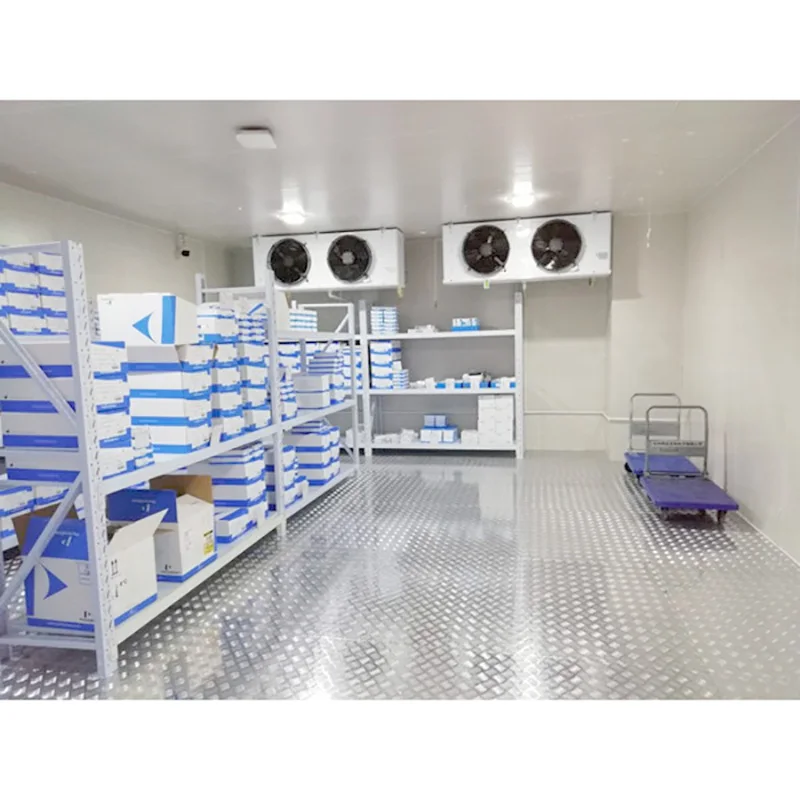 Blast Freezer, 220V/380V, 220V 50hz - detail 16