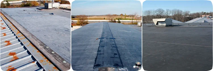 EPDM metal roof.jpg